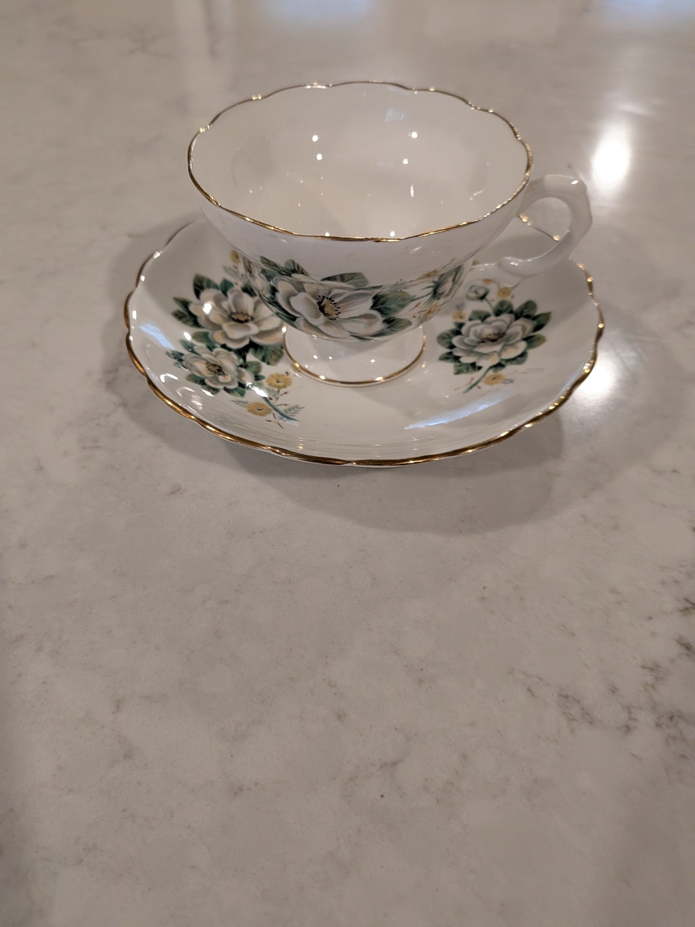 Bone China Porcelain Teacup and Saucer Set in White with Green Floral Pattern
